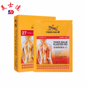 Custom Flat Pouch Packaging for Medicated Plaster (1)