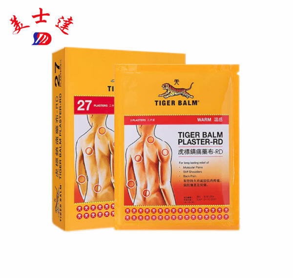 Custom Flat Pouch Packaging for Medicated Plaster (1)