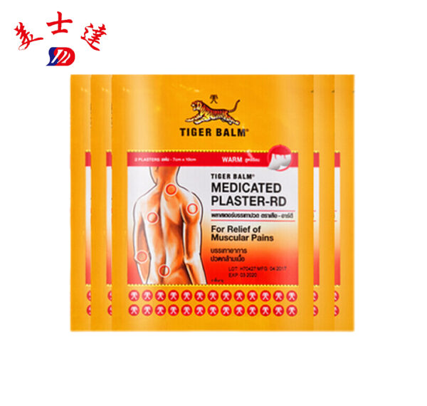 Custom Flat Pouch Packaging for Medicated Plaster (5)